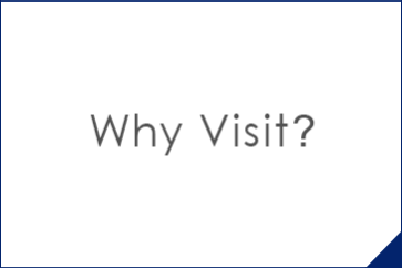 Why Visit?